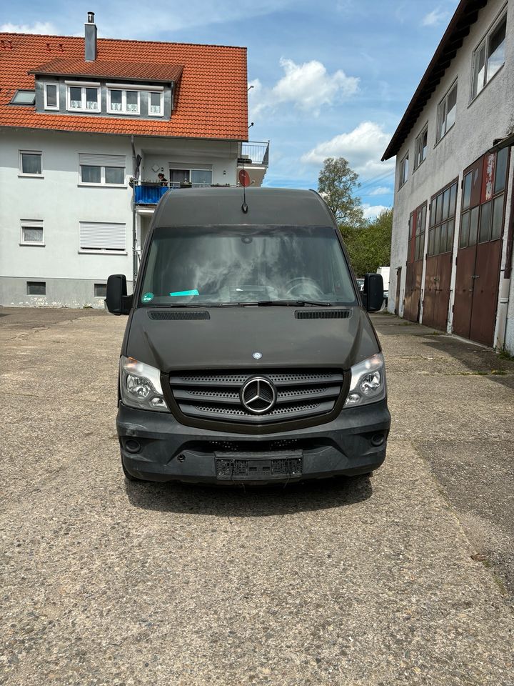 Mercedes Benz Sprinter 316 Maxi in Albstadt