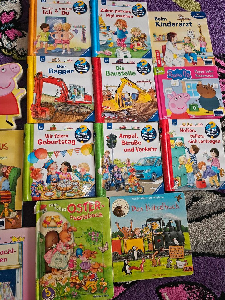 Kinderbücher u.a. Wieso,Weshalb,Warum,Peppa,PawPatrol etc in Mannheim