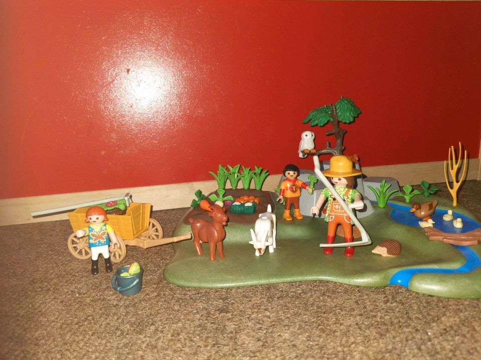 Playmobil Gemüsegarten in Lage