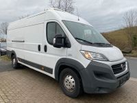 ❗Kühlfahrzeug mieten Fiat Ducato MAXI❗, Tiefkühl bis -18Grad Essen-Borbeck - Essen-Vogelheim Vorschau