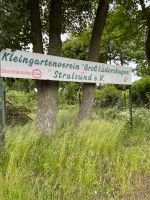 Kleingarten zu verpachten in Groß Lüdershagen Mecklenburg-Vorpommern - Stralsund Vorschau