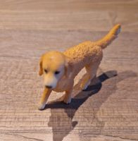 Schleich Hund Duisburg - Duisburg-Süd Vorschau