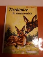 Kinderbücher Kinder Buch alt verschieden  Anfang 60ziger Bayern - Seehausen a. Staffelsee Vorschau