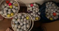 1500 Golfbälle/ Crossgolfbälle Hessen - Rödermark Vorschau