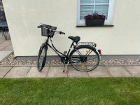 Dahmenfahrrad 28“ Schleswig-Holstein - Badendorf Holstein Vorschau