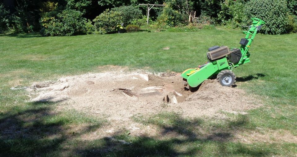 Baumstumpffräsen, Stubbenfräsen, Baumstumpf entfernen, Wurzel in Bergisch Gladbach