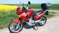 Honda Transalp xl 650 V Sachsen-Anhalt - Zabenstedt Vorschau