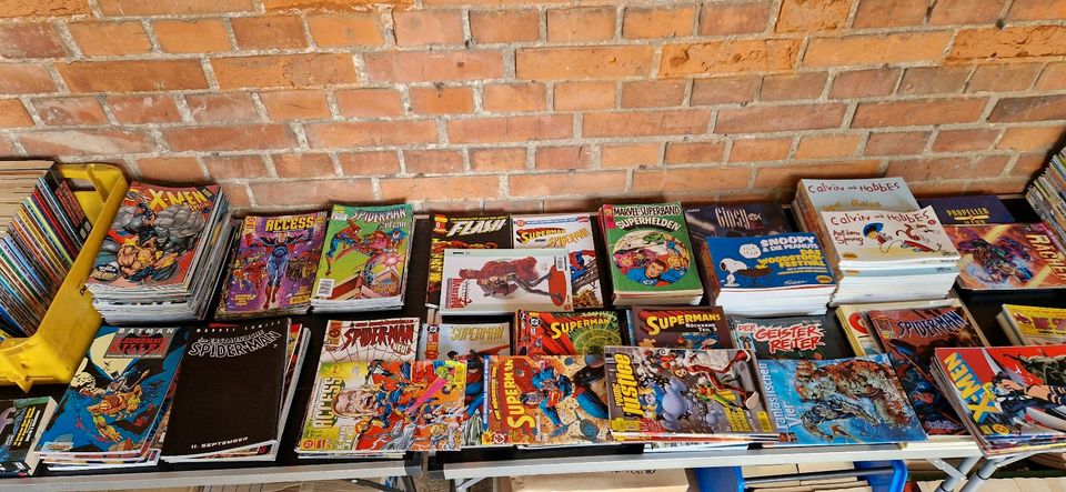 Comics Marvel und andere in Salzgitter