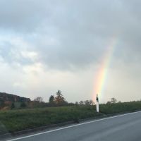 Kleiner Bauplatz gesucht - Herrenberg und Umgebung Baden-Württemberg - Grafenau Vorschau