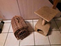 Katzenkorb Kratzbaum Toilette Halsband Dresden - Neustadt Vorschau