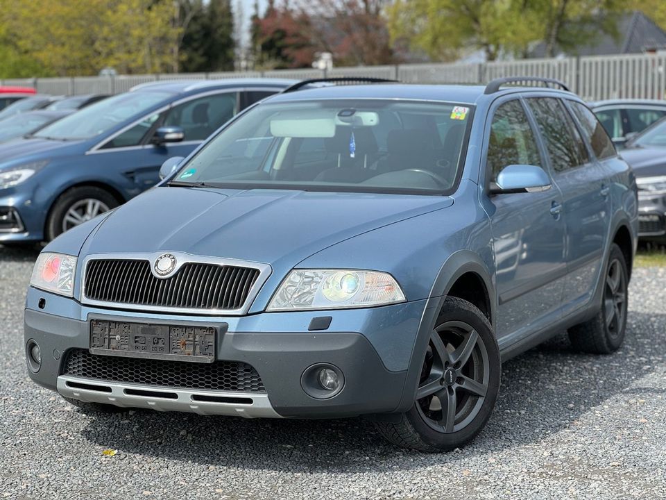 Skoda Octavia Combi Scout 4X4 Xenon in Flensburg