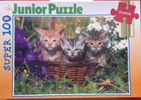 Puzzle Katzenbabys Schleswig-Holstein - Kaltenkirchen Vorschau