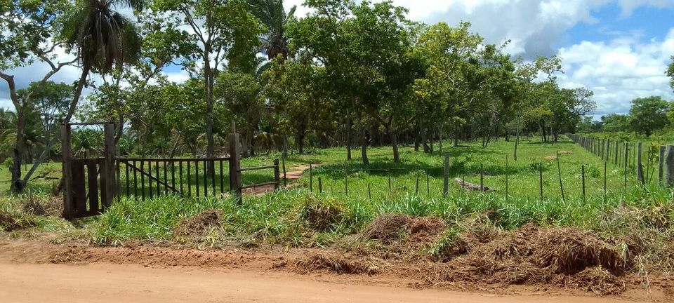 Bolivien Land zu Verkaufen Auswandern in Schönhorst