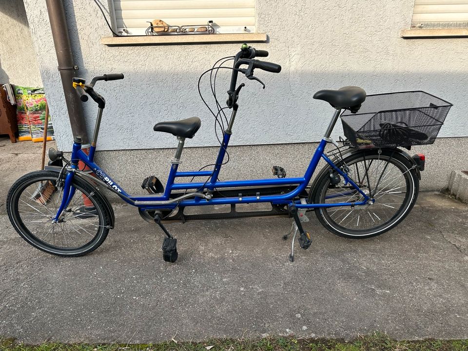 Copilot Tandem Handicap in Mannheim