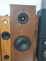 Breitband Lautsprecher Boxen mit Omnes Audio BB 3.5 Tangband FAST Niedersachsen - Lehrte Vorschau