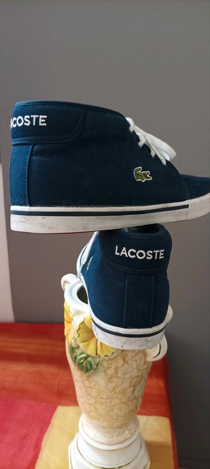 Lacoste  Sneakers in Heidelberg