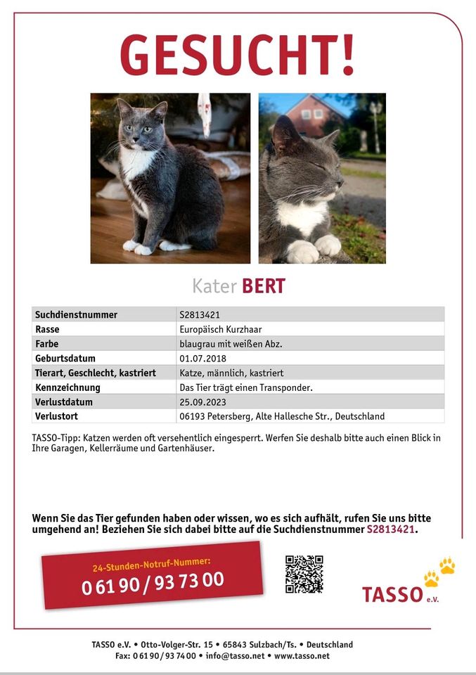 Katze / Kater vermisst in Petersberg (Saalekreis)