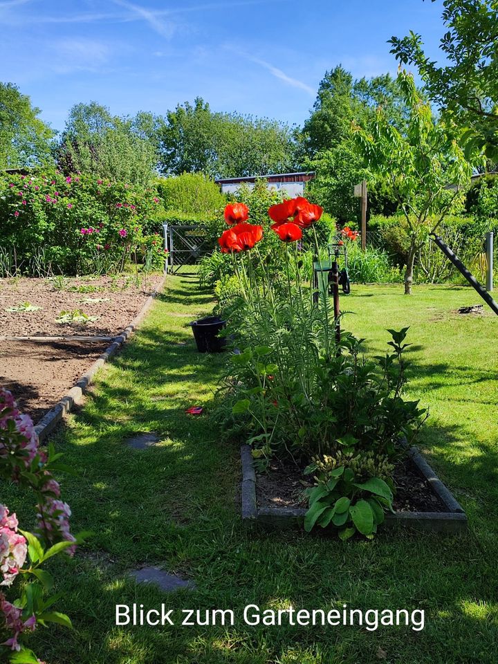 Verkaufe Garten in Parow in Kramerhof