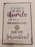 Schild Hund schönster Holzschild Spruch Wanddeko vintage Bad Doberan - Landkreis - Bargeshagen Vorschau