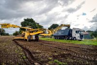 LKW-Fahrer für die Rübenkampagne in Voll,- und Teilzeit Niedersachsen - Wahrenholz Vorschau