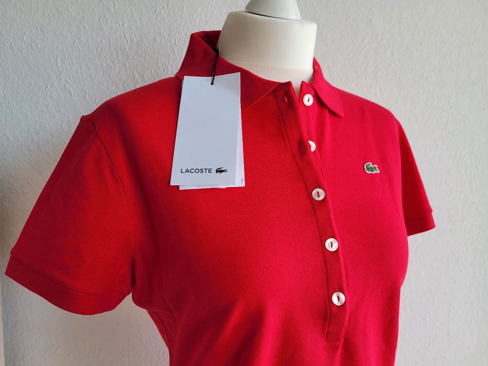 NEU Lacoste Polo Poloshirt Polohemd Damen 44 46 in München