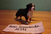 Schleich Hunde 16397 16840 16838 16839 (Berner Sennenhündin,...) Schleswig-Holstein - Schleswig Vorschau