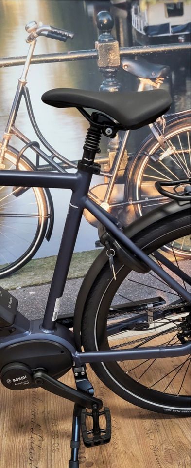 E-Bike Batavus Senero Bosch Mittelmotor Herrenfahrrad Angebot in Goch