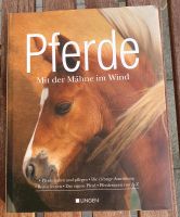Pferde mit der Mähne im Wind Hessen - Schwalbach a. Taunus Vorschau