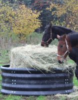 Für alle geliebten Pferde, Ponys..Heu Trog, Heuraufe, Slow Feeder Parchim - Landkreis - Plau am See Vorschau