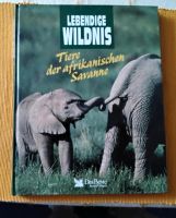 Buch -Tiere der afrikanischen Savanne Parchim - Landkreis - Crivitz Vorschau