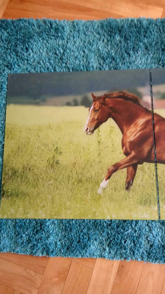 Glasbild Pferd in Unterhaching