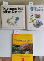 Steingarten Pflanzen Garten Planen Gestalten Pflege Thüringen - Weimar Vorschau