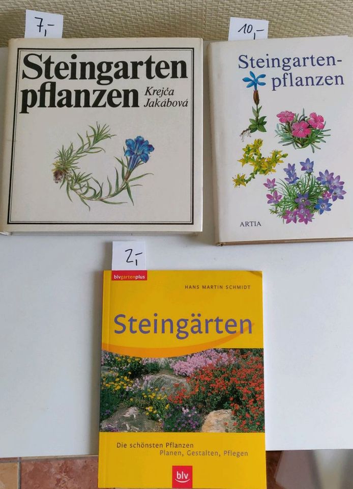 Steingarten Pflanzen Garten Planen Gestalten Pflege in Weimar