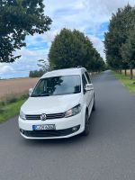 VW Caddy 2.0TDI 140ps Brandenburg - Bad Freienwalde Vorschau