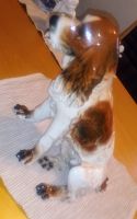 Wunderschöner Porzellan Hund ""SPANIEL"" abzugeben WIE NEU VB.- Nordrhein-Westfalen - Oberhausen Vorschau
