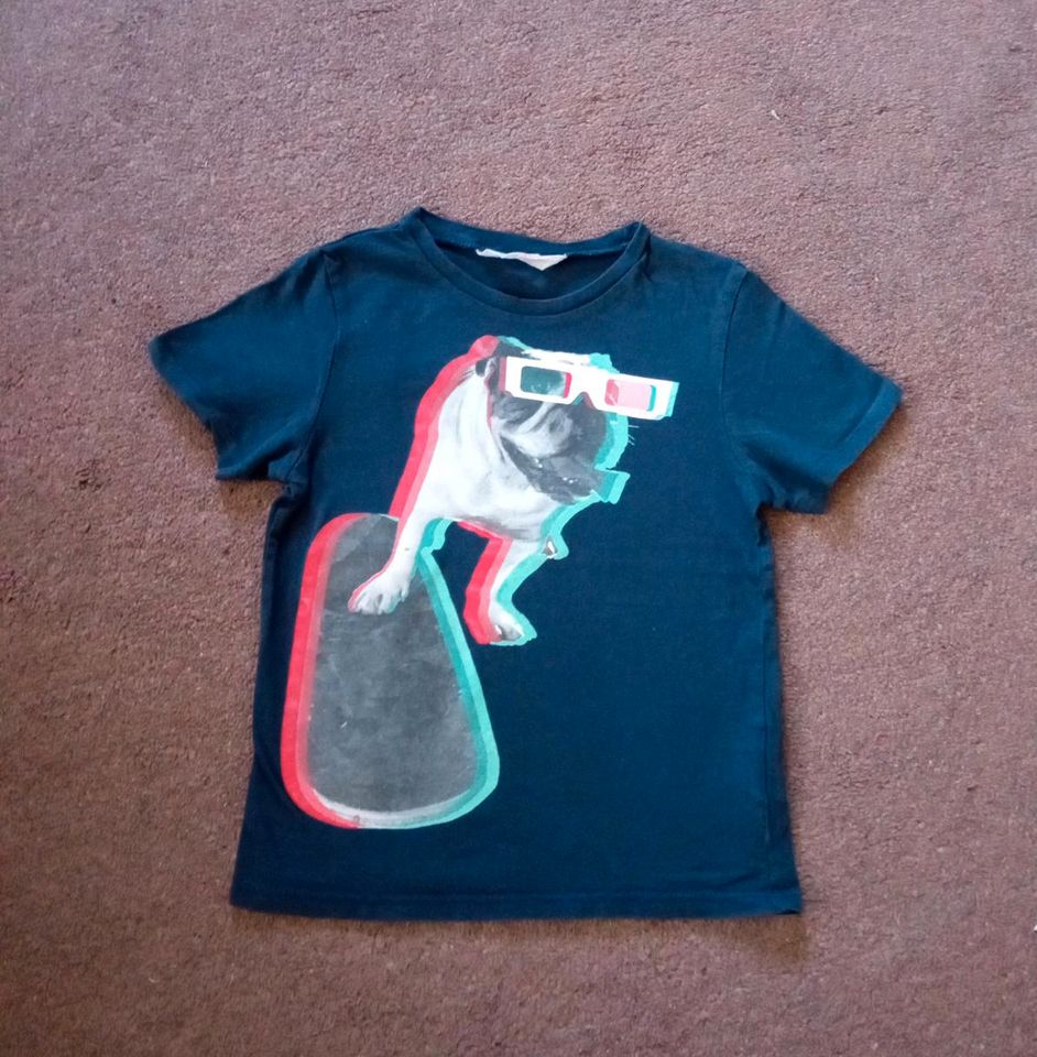 Kinder T Shirt H &M Größe 110/116 in Kleinostheim