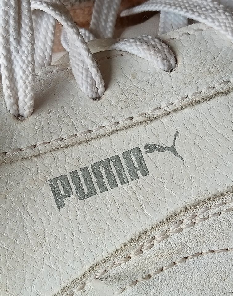 PUMA Carina Sneaker 8 42 Leder weiß in Obernkirchen