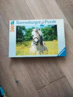 Puzzle 500 Teile, Motiv Pferd Stuttgart - Vaihingen Vorschau