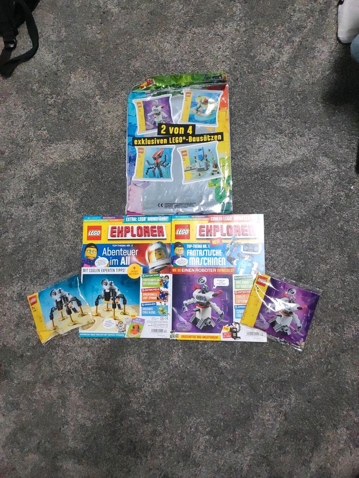 Lego Explorer 2von 4 Set in Lage