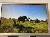 Apple Cinema Display 20 Zoll Aluminium Gehäuse Friedrichshain-Kreuzberg - Kreuzberg Vorschau