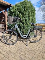 E-Bike Viktoria 3.1 Niedersachsen - Diepenau Vorschau