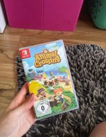 Animal Crossing - Nintendo Switch Spiel Bayern - Schwandorf Vorschau