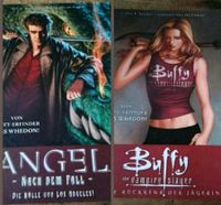 Angel Nach dem Fall/Buffy the Vampire slayer Nordrhein-Westfalen - Bottrop Vorschau