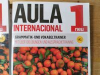 Aula Internacional 1 Grammatik- und Vokabeltrainer Bayern - Ruhstorf an der Rott Vorschau