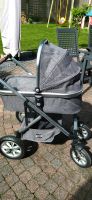 Kinderwagen Moon Nuova Nordrhein-Westfalen - Gronau (Westfalen) Vorschau