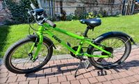 Kinderfahrrad Frogbikes Thüringen - Worbis Vorschau