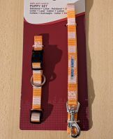 Puppy/ Welpen Set: Halsband + Leine / OVP Sachsen-Anhalt - Dessau-Roßlau Vorschau