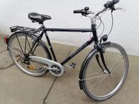 Pegasus Herren Fahrrad 28 zoll Baden-Württemberg - Hardthausen Vorschau