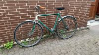 Fahrrad 28“ Niedersachsen - Hildesheim Vorschau