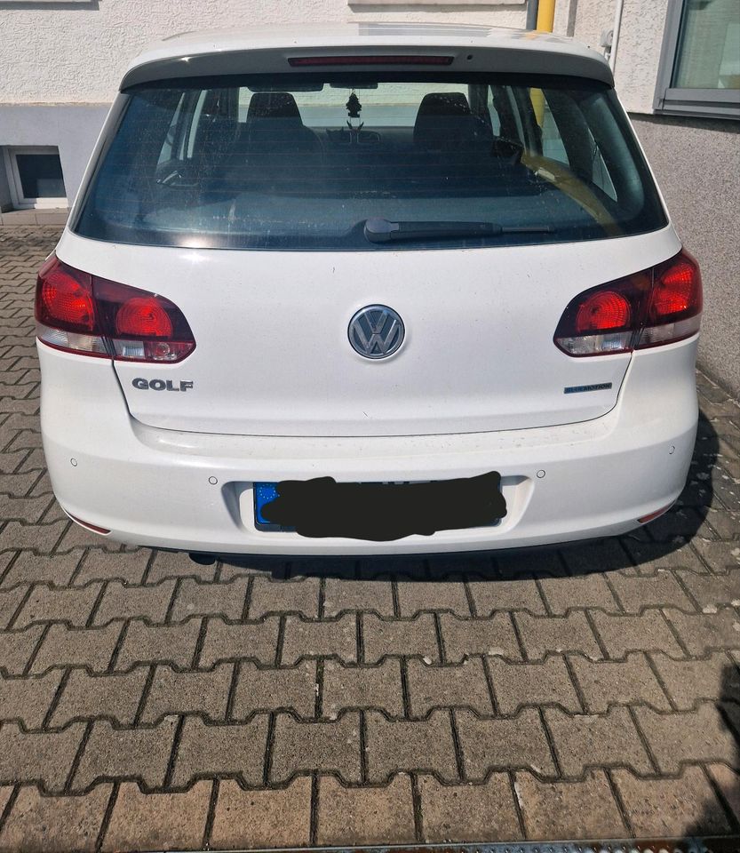Volkswagen Golf 1,6 TDI Trendline Bluemotion in Küps